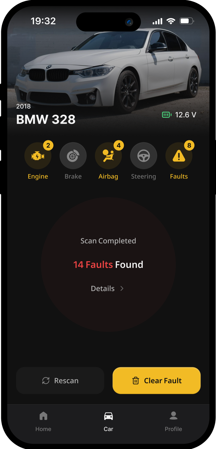 The diagnostic result — faults found